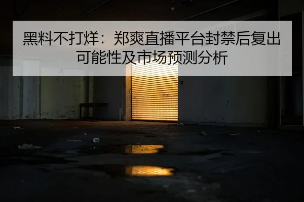 黑料不打烊：郑爽直播平台封禁后复出可能性及市场预测分析